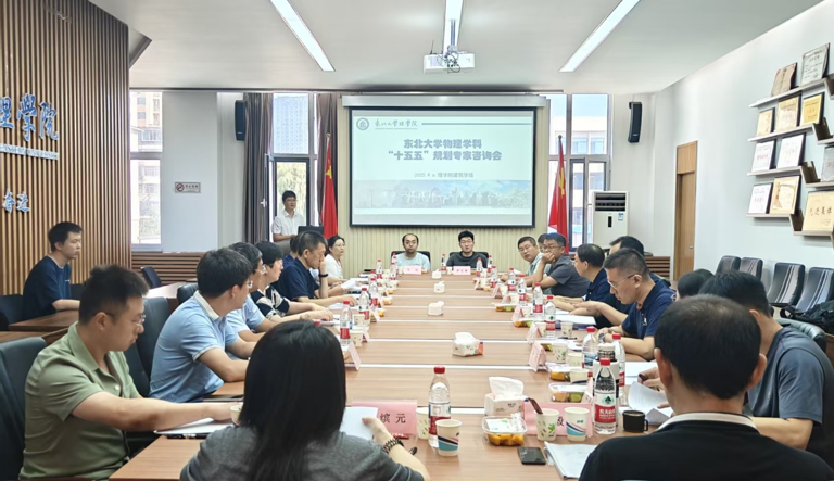 物理学科“十五五”发展规划咨询...